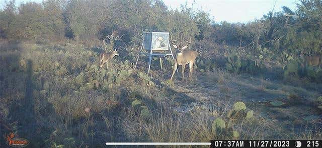 0 PR 1276, LAMPASAS, TX 76550, photo 1 of 28