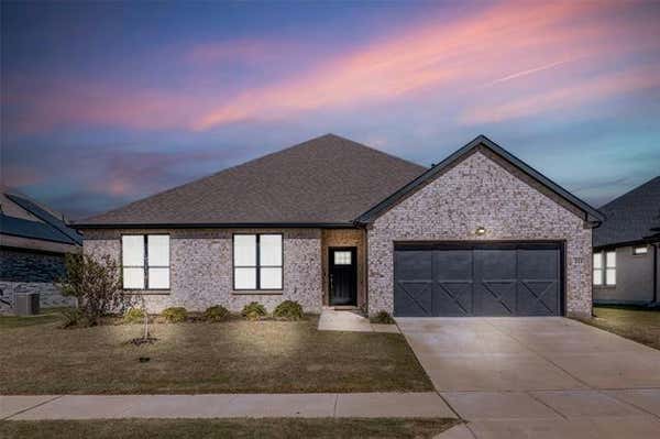 211 CYPRUS GROVE DR, LAVON, TX 75166 - Image 1