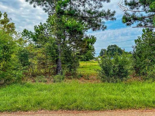 LOT 82 CIRCLE DRIVE, CHANDLER, TX 75758 - Image 1