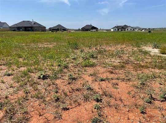 110 SHADY HILL LN, TUSCOLA, TX 79562 - Image 1