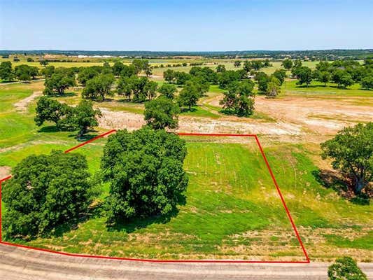 1008 RIVER RANCH LN, WEATHERFORD, TX 76087 - Image 1