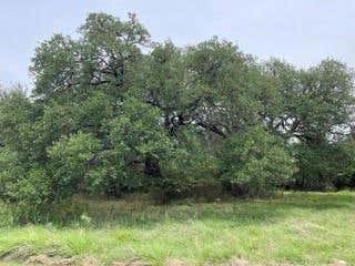 TBD HOMEWOOD CIRCLE, EARLY, TX 76802, photo 1 of 11