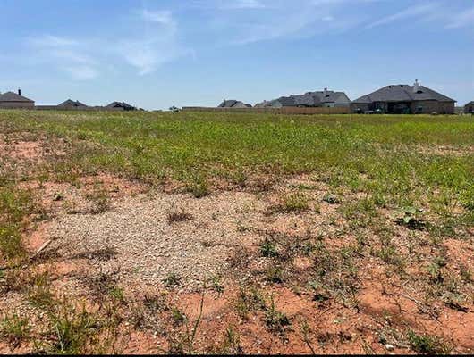 133 SPARROW HILLS LN, TUSCOLA, TX 79562 - Image 1