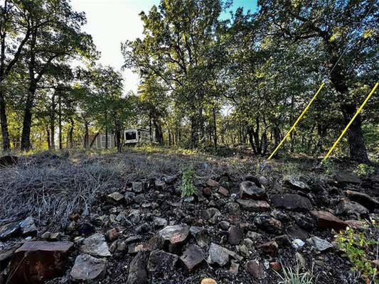 TBD PR 1735, CHICO, TX 76431, photo 2 of 14