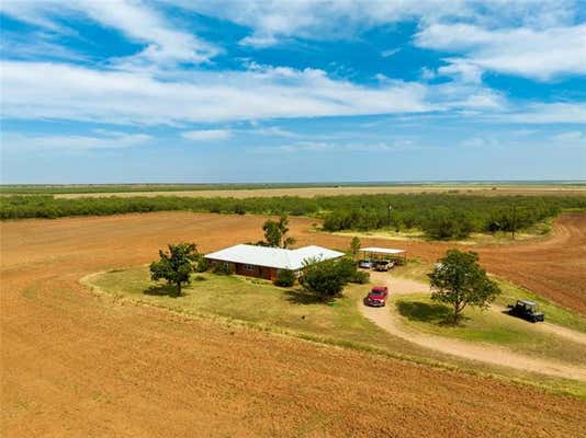 8033 COUNTY ROAD 415, MERKEL, TX 79536, photo 3 of 26