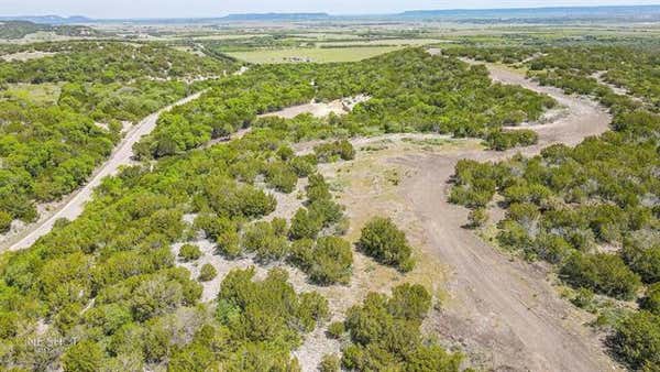 TBD LEMONS GAP RD, TUSCOLA, TX 79562, photo 3 of 15