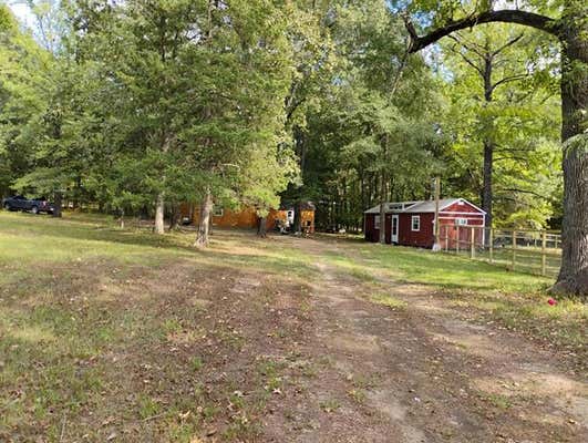 100 COUNTY ROAD 45300, POWDERLY, TX 75473 - Image 1