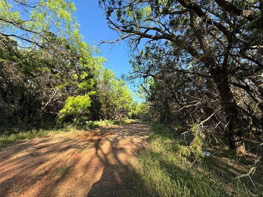 1081 DAN MOODY ST, BUFFALO GAP, TX 79508, photo 3 of 16