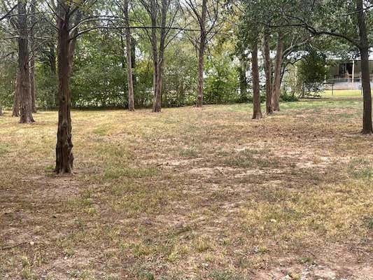 81 OLD SHAWNEE TRAIL DR, GORDONVILLE, TX 76245 - Image 1