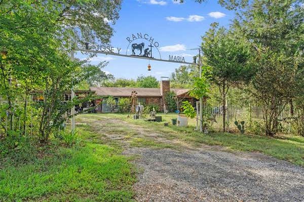 2605 VZ COUNTY ROAD 4923, BEN WHEELER, TX 75754 - Image 1