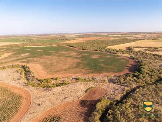 TBD COUNTY ROAD 158, SYLVESTER, TX 79560 - Image 1