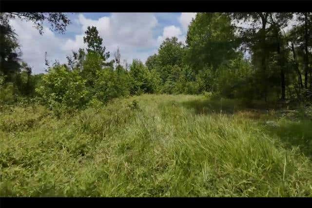 1 COUNTY ROAD 2215, DETROIT, TX 75436, photo 1 of 19