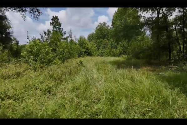 1 COUNTY ROAD 2215, DETROIT, TX 75436 - Image 1