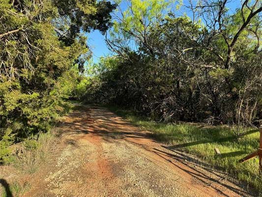 1081 DAN MOODY ST, BUFFALO GAP, TX 79508 - Image 1