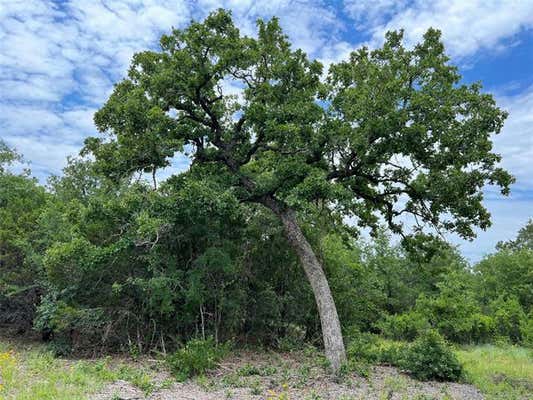 TBD W NEW HOPE ROAD, SANTO, TX 76484, photo 3 of 5