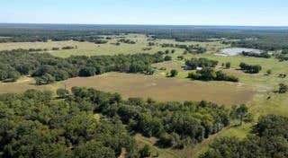 LOT 5 COUNTY ROAD 2310, TELEPHONE, TX 75488, photo 2 of 8