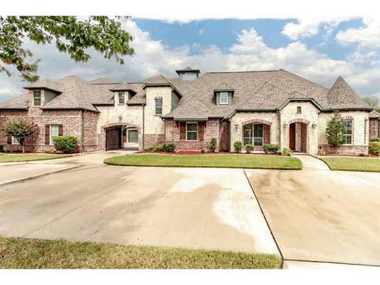 317 MEADOW DR, SUNNYVALE, TX 75182 - Image 1