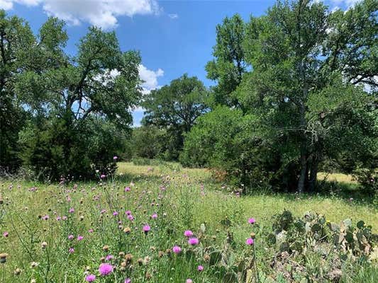 LOT #0 TRAUTWEIN ROAD, AUSTIN, TX 78737, photo 2 of 27