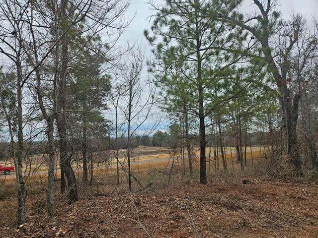 16919 RIDGELINE LOOP, WINONA, TX 75792, photo 1 of 3