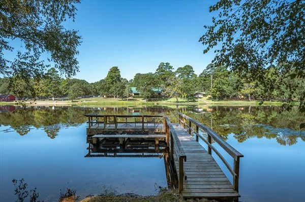 167 BLUE WATER PT, HOLLY LAKE RANCH, TX 75765 - Image 1