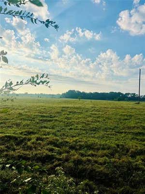 000 VAN ZANDT COUNTY ROAD 1317, VAN, TX 75790 - Image 1