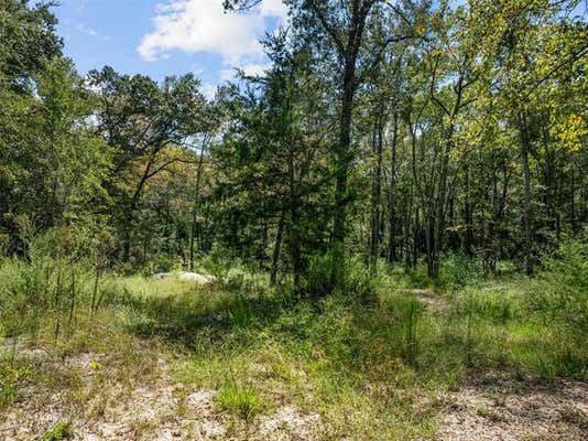 24751 COUNTY ROAD 460, GRAND SALINE, TX 75140 - Image 1