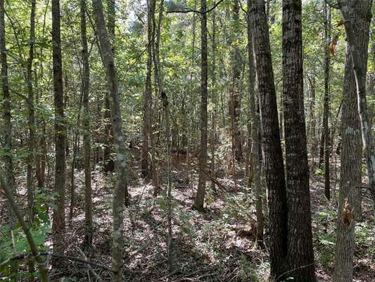 T1 COUNTY RD 3011, NEW BOSTON, TX 75570, photo 4 of 11