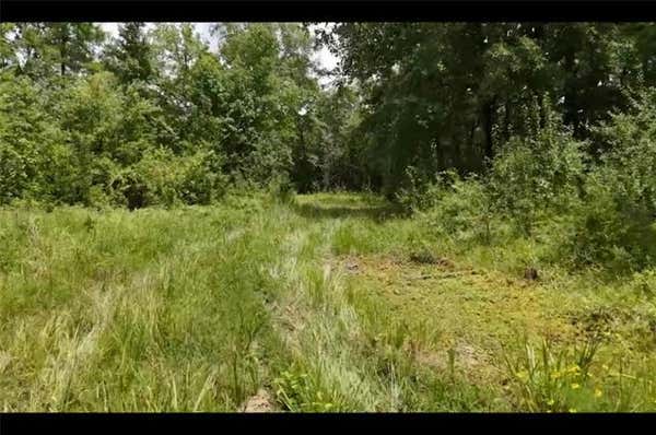 2 COUNTY ROAD 2215, DETROIT, TX 75436 - Image 1