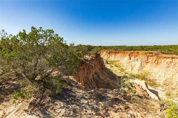 TBD FM 1086, OVALO, TX 79541 - Image 1