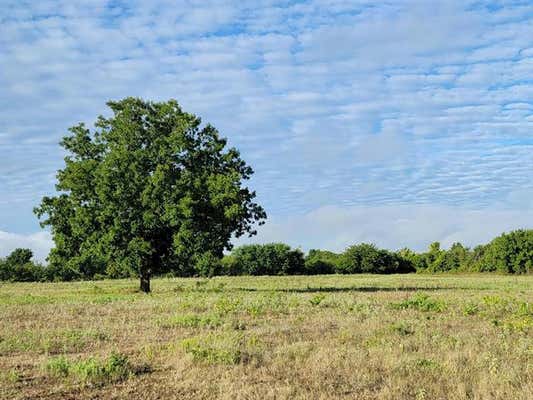 TBD COUNTY ROAD 127, WHITESBORO, TX 76273, photo 4 of 14