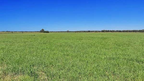 TBD BIG VALLEY CIRCLE # 10 ACRES, LIPAN, TX 76462 - Image 1