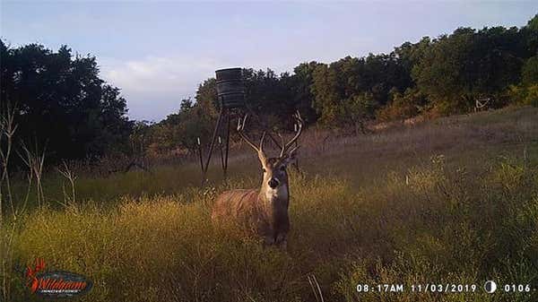 TBD COUNTY ROAD 188, CROSS PLAINS, TX 76443 - Image 1