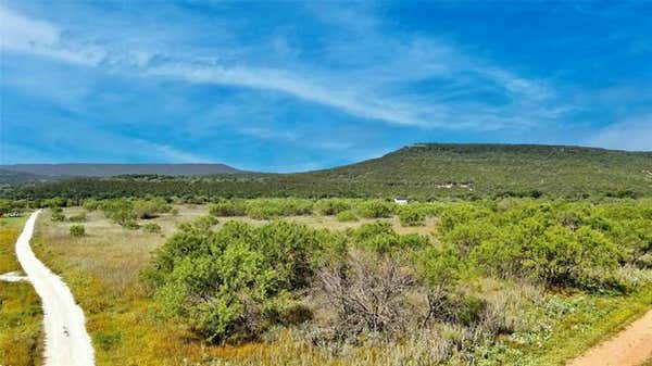 TBD FORTUNE BEND ROAD, GRAFORD, TX 76449 - Image 1