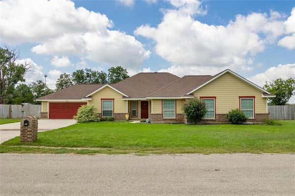 1005 TERRACE DR, BANGS, TX 76823 - Image 1