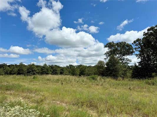 LOT 21 RAINS COUNTY RD 2610, ALBA, TX 75410 - Image 1