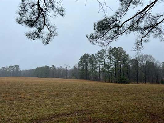 TBD COUNTY ROAD 3121, CLARKSVILLE, TX 75426 - Image 1