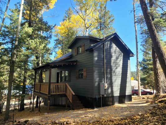 905 BEAVER AVE, CLOUDCROFT, NM 88317 - Image 1