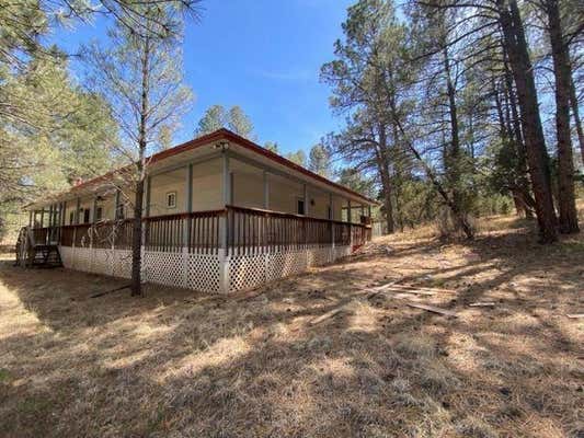 10 SURCINGLE AVE, TIMBERON, NM 88350, photo 2 of 38