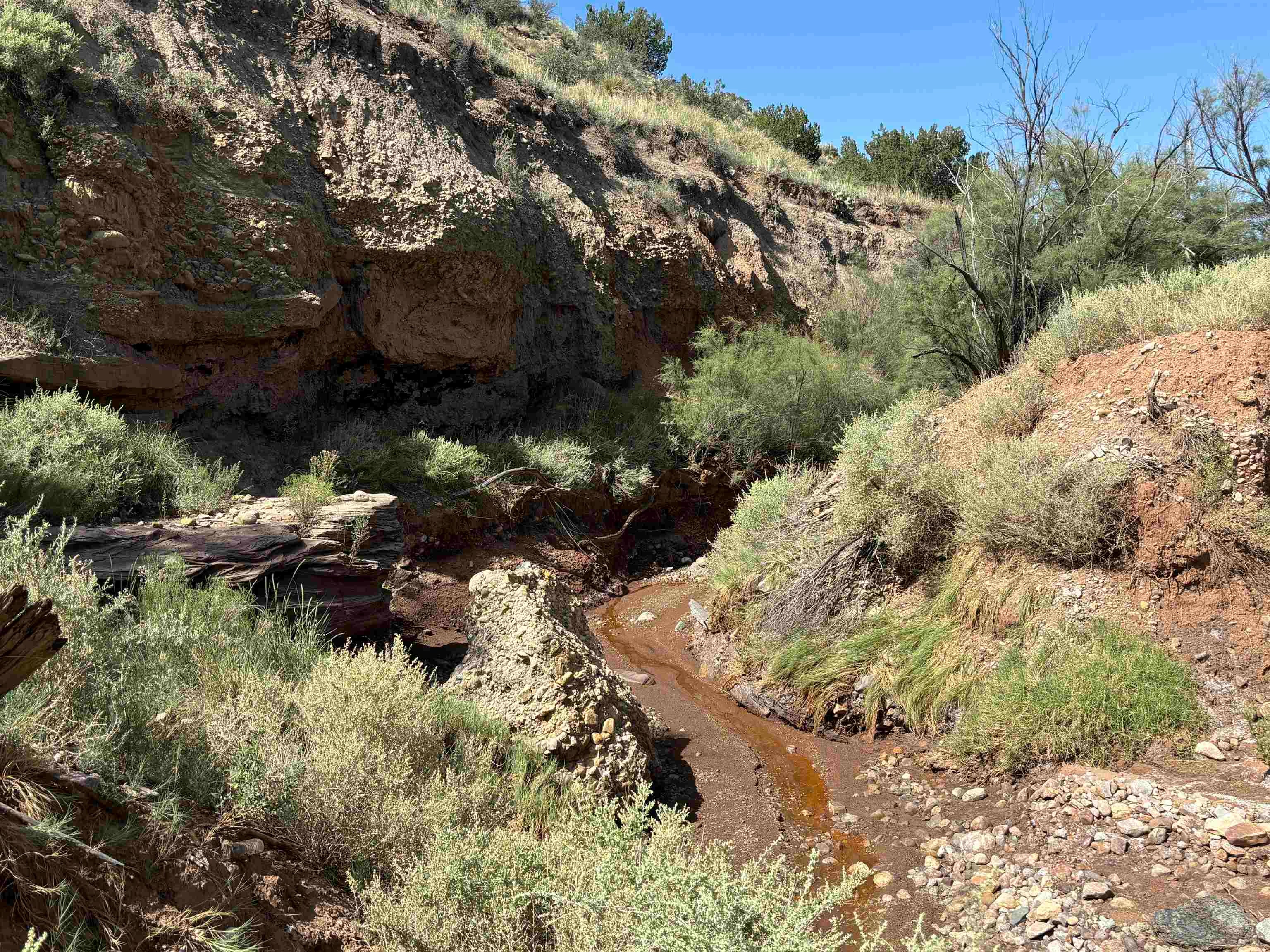 La Luz, New Mexico, 88337, United States, 3 Bedrooms Bedrooms, ,3 BathroomsBathrooms,Residential,Active,1764134
