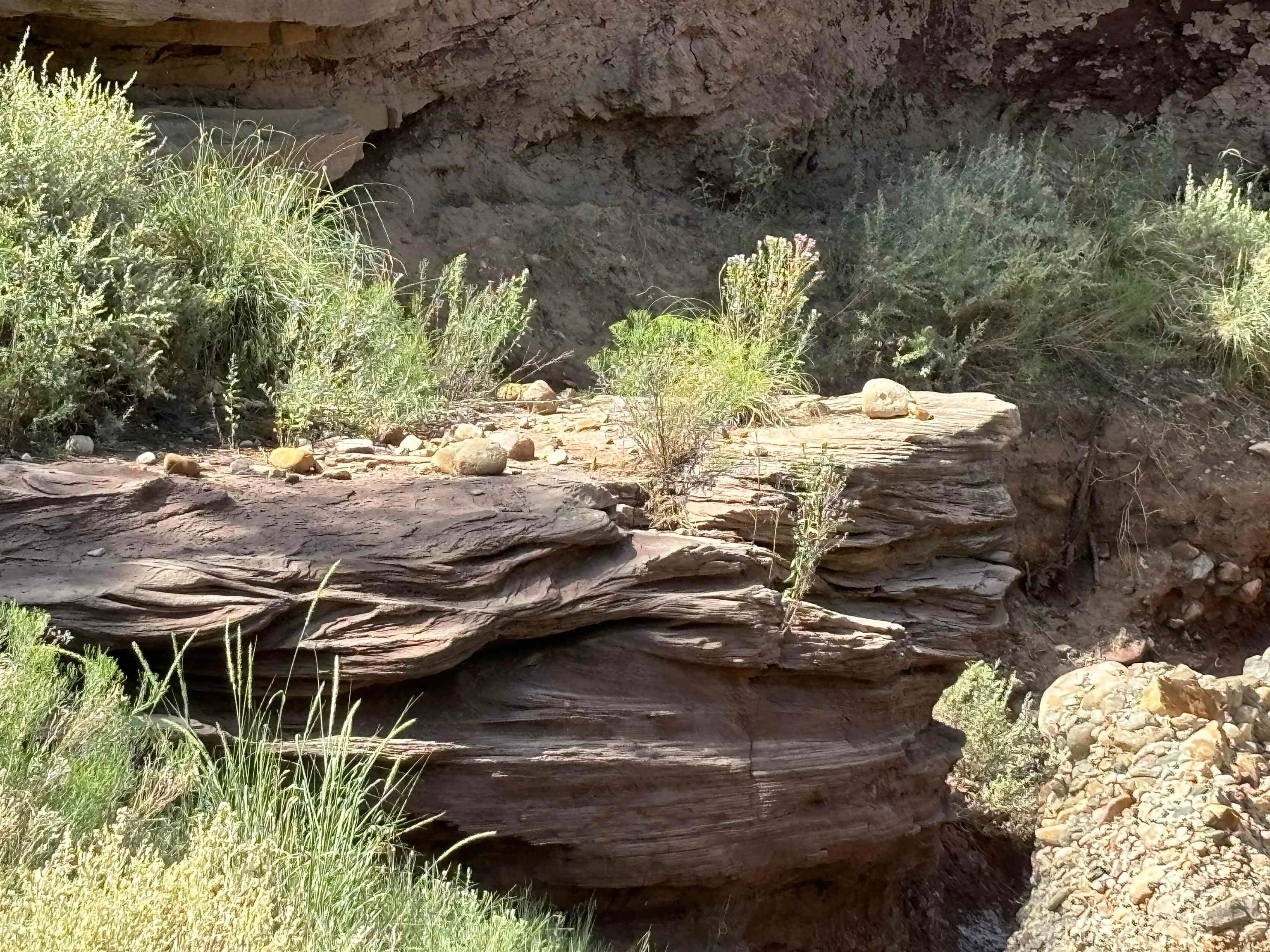 La Luz, New Mexico, 88337, United States, 3 Bedrooms Bedrooms, ,3 BathroomsBathrooms,Residential,Active,1764134