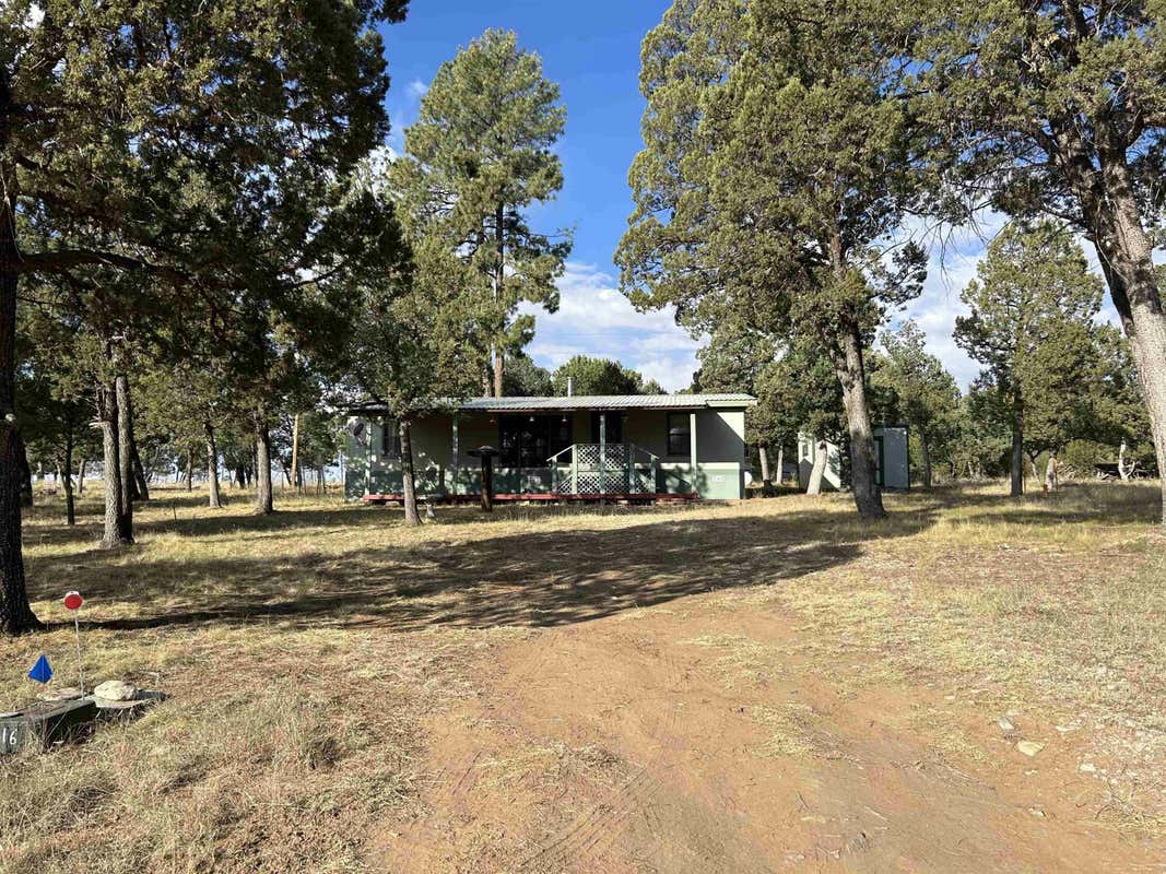 16 COSHACION DR, TIMBERON, NM 88350, photo 1 of 30