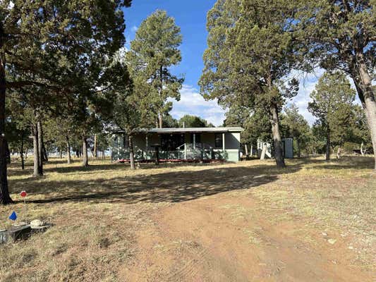 16 COSHACION DR, TIMBERON, NM 88350 - Image 1