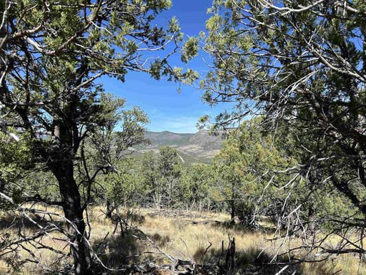 43 GENTLE BREEZE LN, TIMBERON, NM 88350 - Image 1