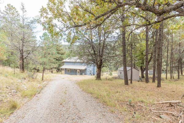 71 BELL CANYON RD, CLOUDCROFT, NM 88317, photo 3 of 56