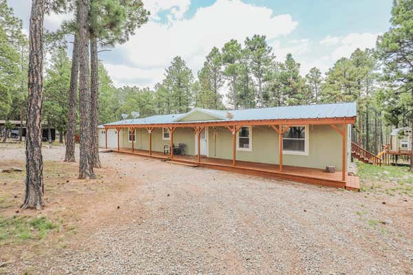 110 OAKMONT DR, TIMBERON, NM 88350 - Image 1