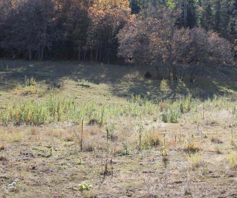 14 ELK MDWS, CLOUDCROFT, NM 88317 - Image 1