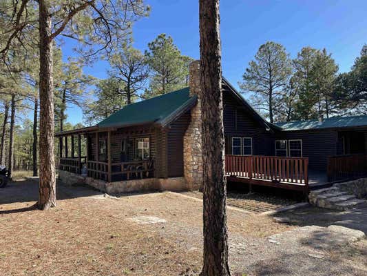 187 DIXWOOD DR, TIMBERON, NM 88350 - Image 1