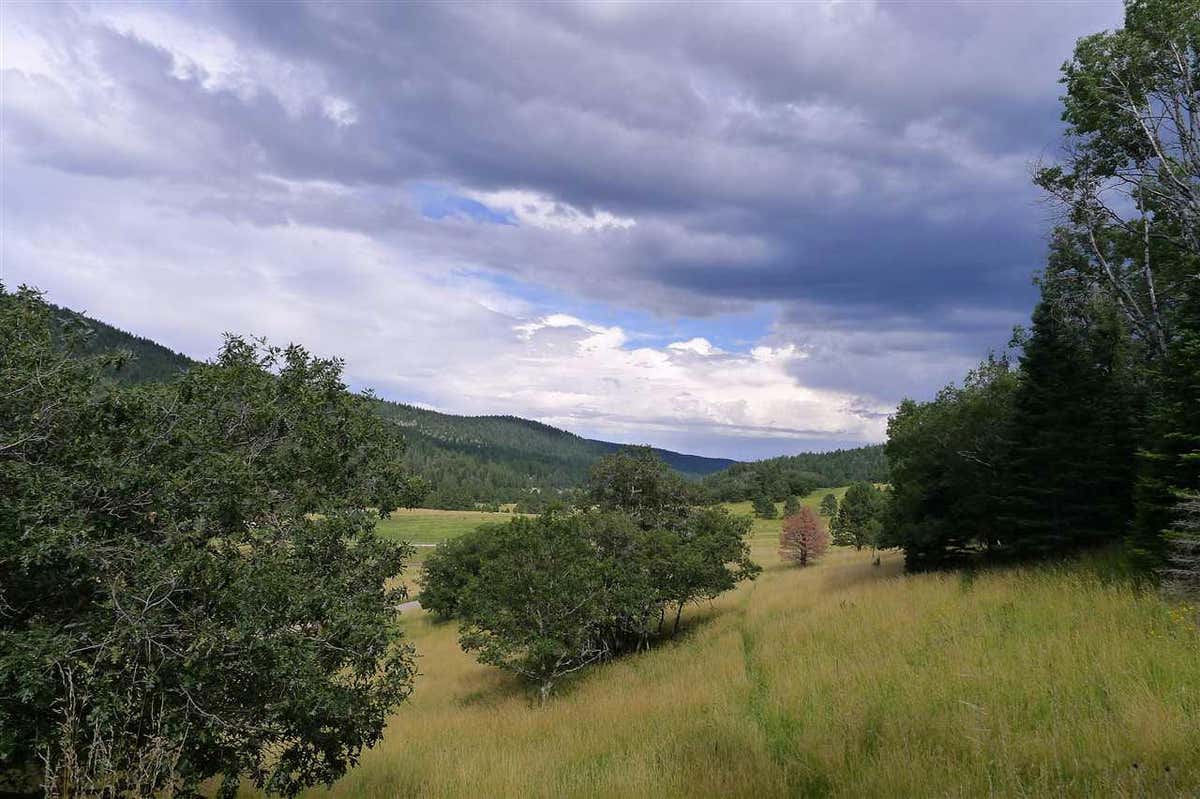 49 ELK SPGS, CLOUDCROFT, NM 88317, photo 1 of 29