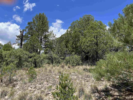 14 MILTON RD, TIMBERON, NM 88350 - Image 1