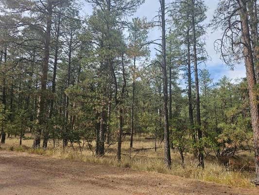 00 HOMEWOOD DR, TIMBERON, NM 88350 - Image 1